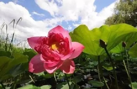 为什么傲慢的人命运不太好? 为什么傲慢的人命运不太好?