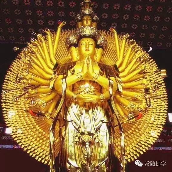 �̲�ס����������ô�죿