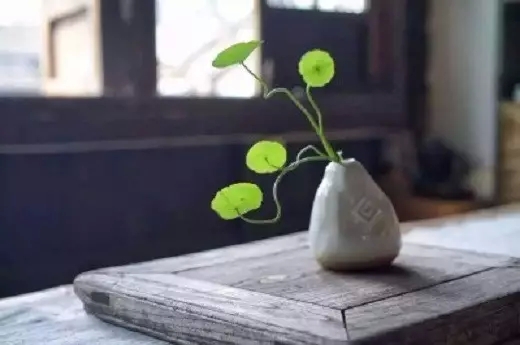 �޹�أ�����������