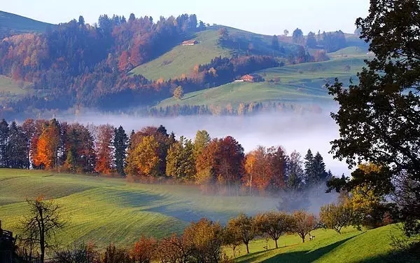 「舍」时的心念 「舍」时的心念