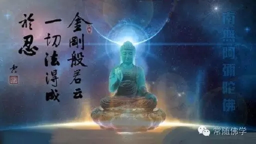 �����������ѵ�����