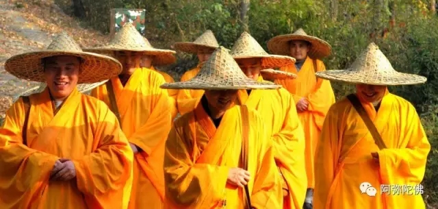 �󰲷�ʦ����Ը������Ҫ�й�̰�����͵İ���