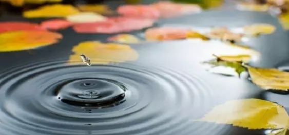 ���������ľ��������