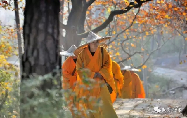 �޵��������֣���֣�