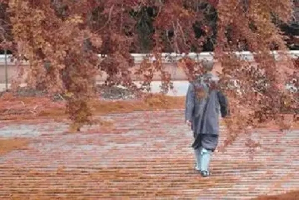 ǰ���Ķ�Թ��������ô�˽⣿