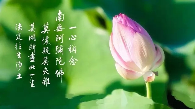 念念不忘往生西方的大事 念念不忘往生西方的大事