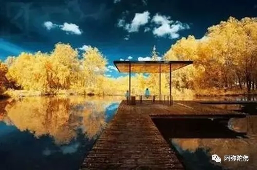 �����в�����Ķ�����