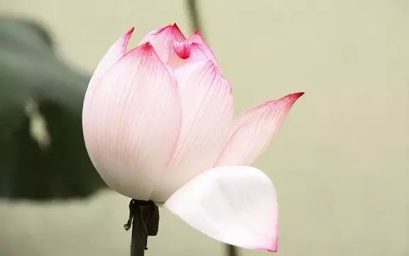 活在过去或担心未来 活在过去或担心未来