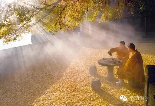 ��ʿ��ʦ���ദע�����