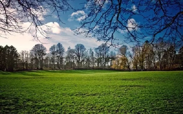 ��������˻���һ�