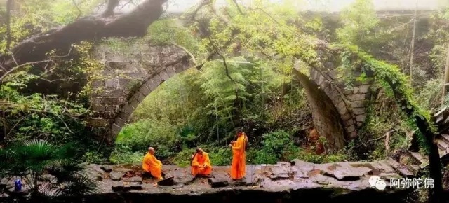 修行最怕的就是半信半疑 修行最怕的就是半信半疑