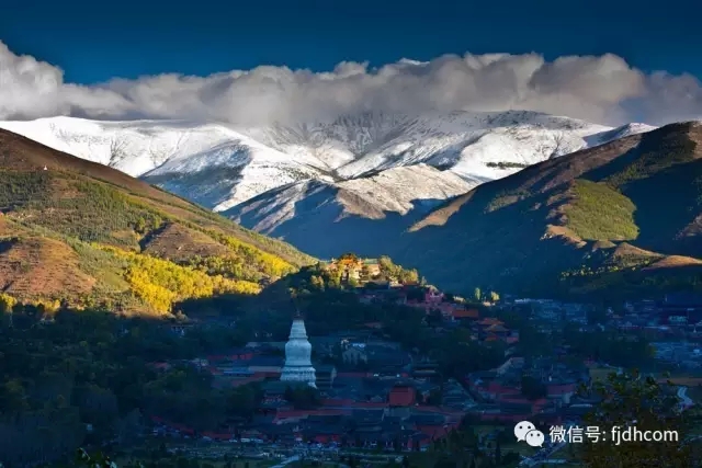 ��̨ɽÿ�춼��һ��������˵��