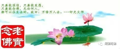 �󰲷�ʦ��������������