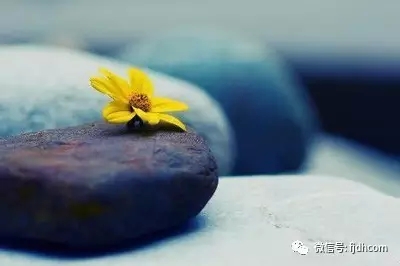 ��������ֱ��Ӱ����ò�����͸���