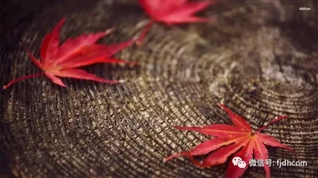 ��������ֱ��Ӱ����ò�����͸���