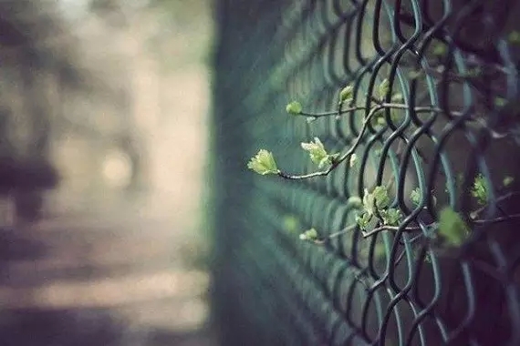 ��ѡ�һ����Ե����������Ľ��