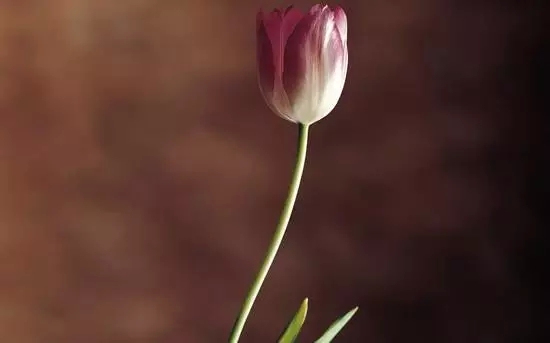 ѧ����ƴ��Լ��������˿�ʼ