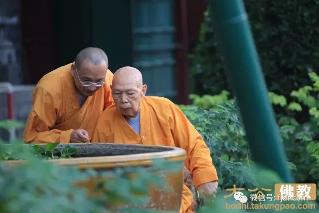 ��ͷ�಻Ҫ�������Ҿͺ�