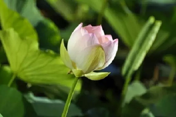 �ž���ʦ108����