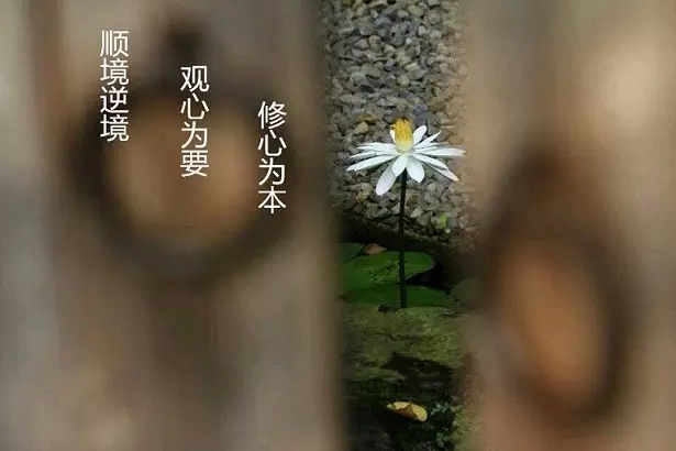 忍不住造业的时候,怎么才能控制自己? 忍不住造业的时候,怎么才能控制自己?