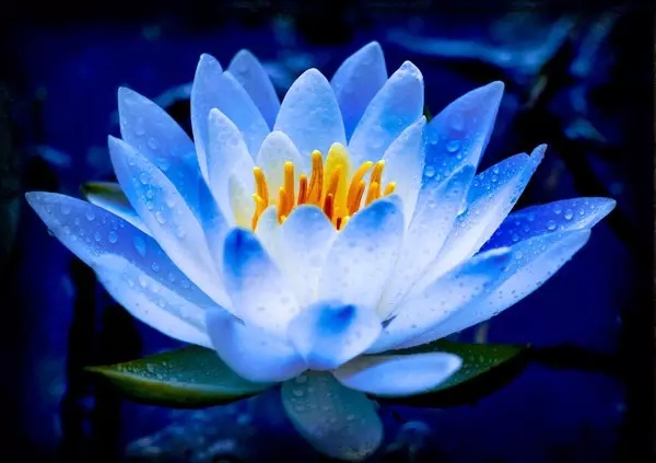 ѧ������ڴ�����֮�ط�