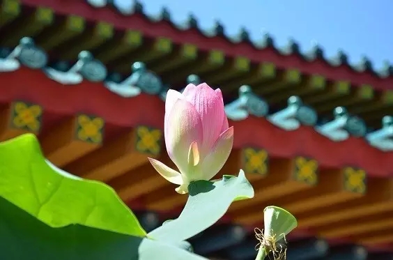 �����������������������䣿