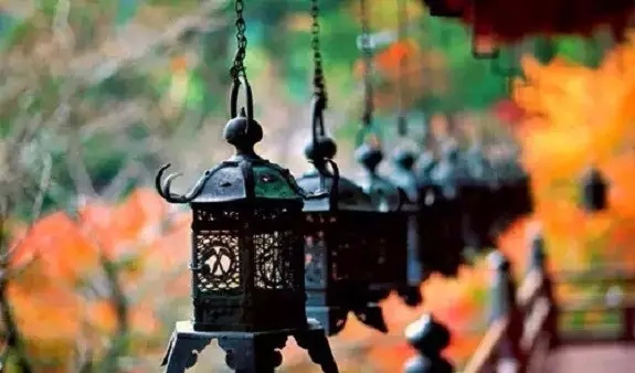 �����طſ�