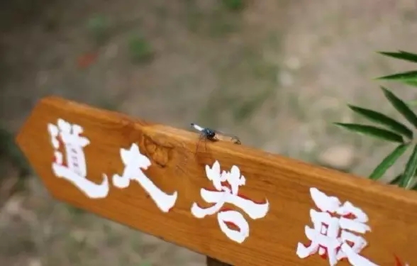 入道要门 入道要门