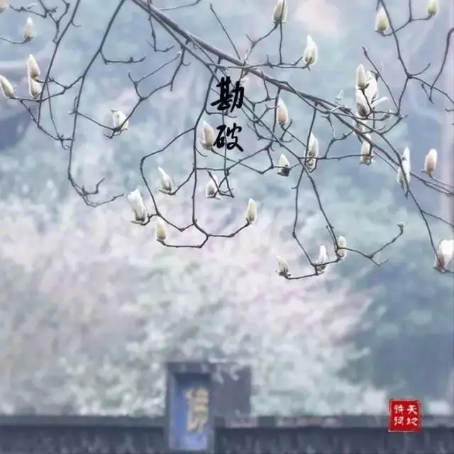 ӡ���ʦ�ԡ�ɫ����գ��ղ���ɫ���Ľ���