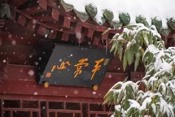 平常心是道 平常心是道