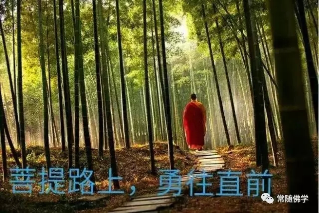 你做再多功德也不如去做这一件事 你做再多功德也不如去做这一件事