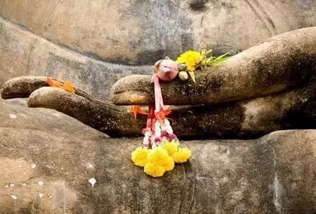 Ů������������У�