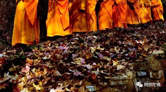 是什么使令一个菩萨裹足不前? 是什么使令一个菩萨裹足不前?