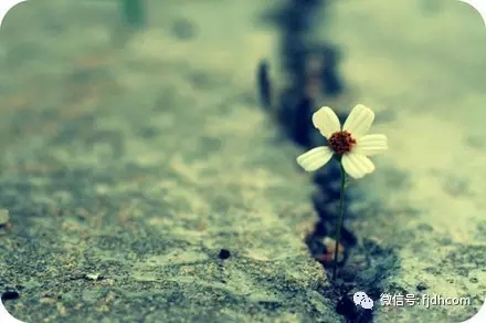 �˻�ò�̤ʵ����ΪǮ�����ò�̤ʵ