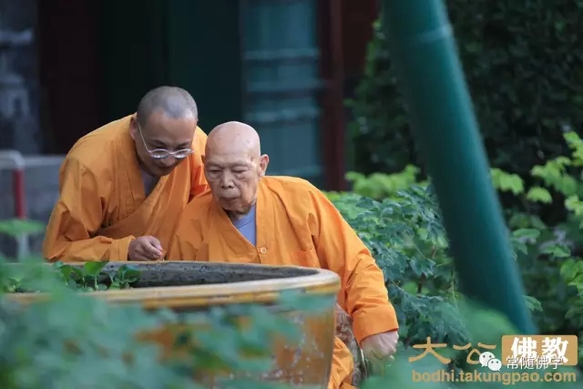 一诚长老:念头多不要紧,不乱就好 一诚长老:念头多不要紧,不乱就好