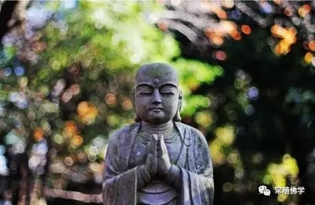 妙莲老和尚:破戒人临终时想念佛却念不出 妙莲老和尚:破戒人临终时想念佛却念不出