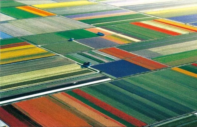 看到什么就得到什么 看到什么就得到什么