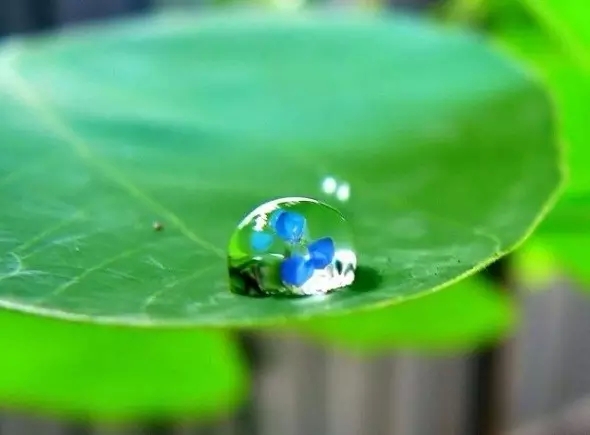 ����޸���