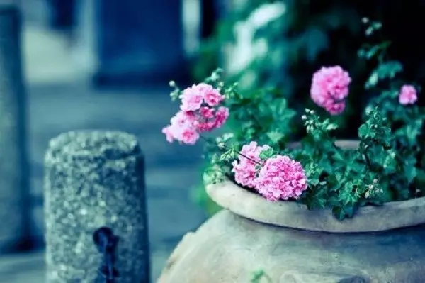 让修行成为一种生活方式 让修行成为一种生活方式