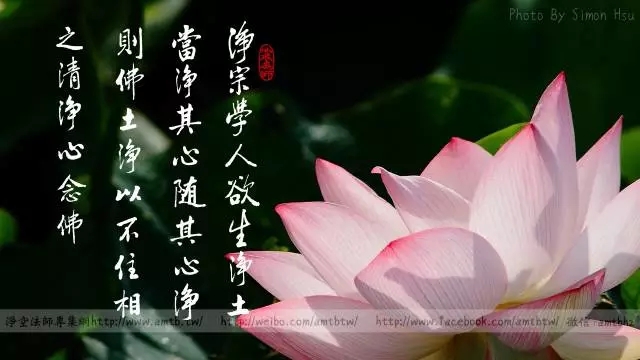 家庭主妇如何修行? 家庭主妇如何修行?