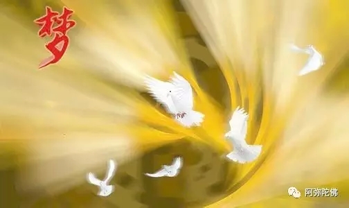 �μ���Щ˵�����ҵ��������