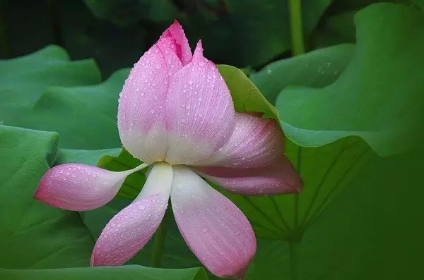 心安比赚钱更重要 心安比赚钱更重要