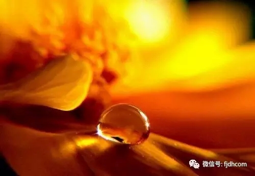 ̹Ȼ�����㵱ʱ��ѡ��