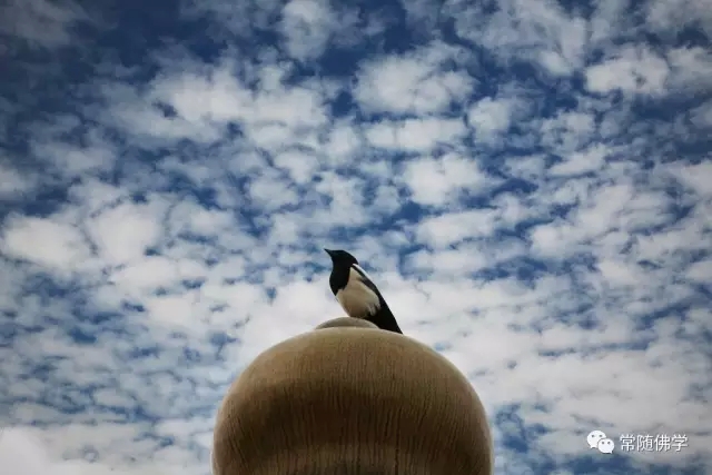 ��˵��������˷���Ҳ��