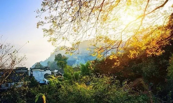 烦恼的根源 烦恼的根源