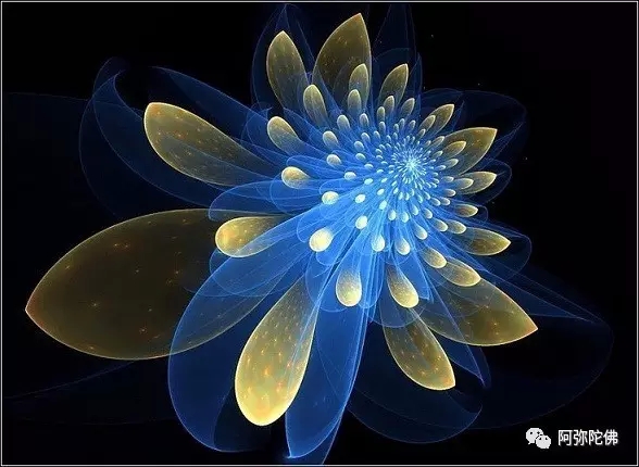 �鰩���˵���������