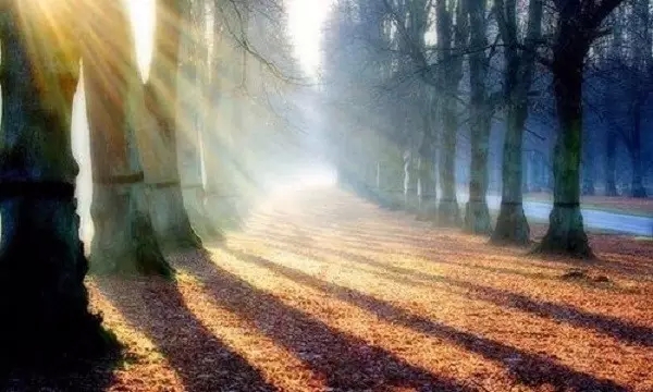 �������ǹ���ȥ