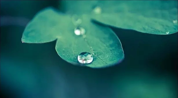 ��ɢ������Ե