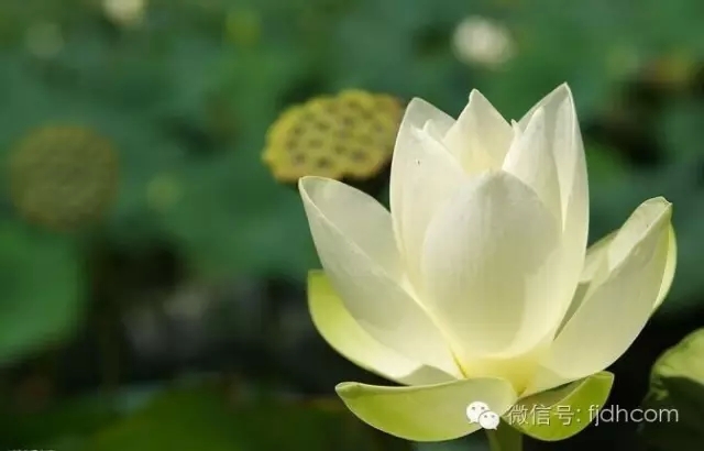 ��Ĺ���©���˶��٣�Ϊ��һ��ǿ������Ҫ����