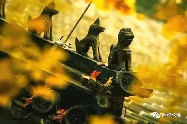 �������һ��������